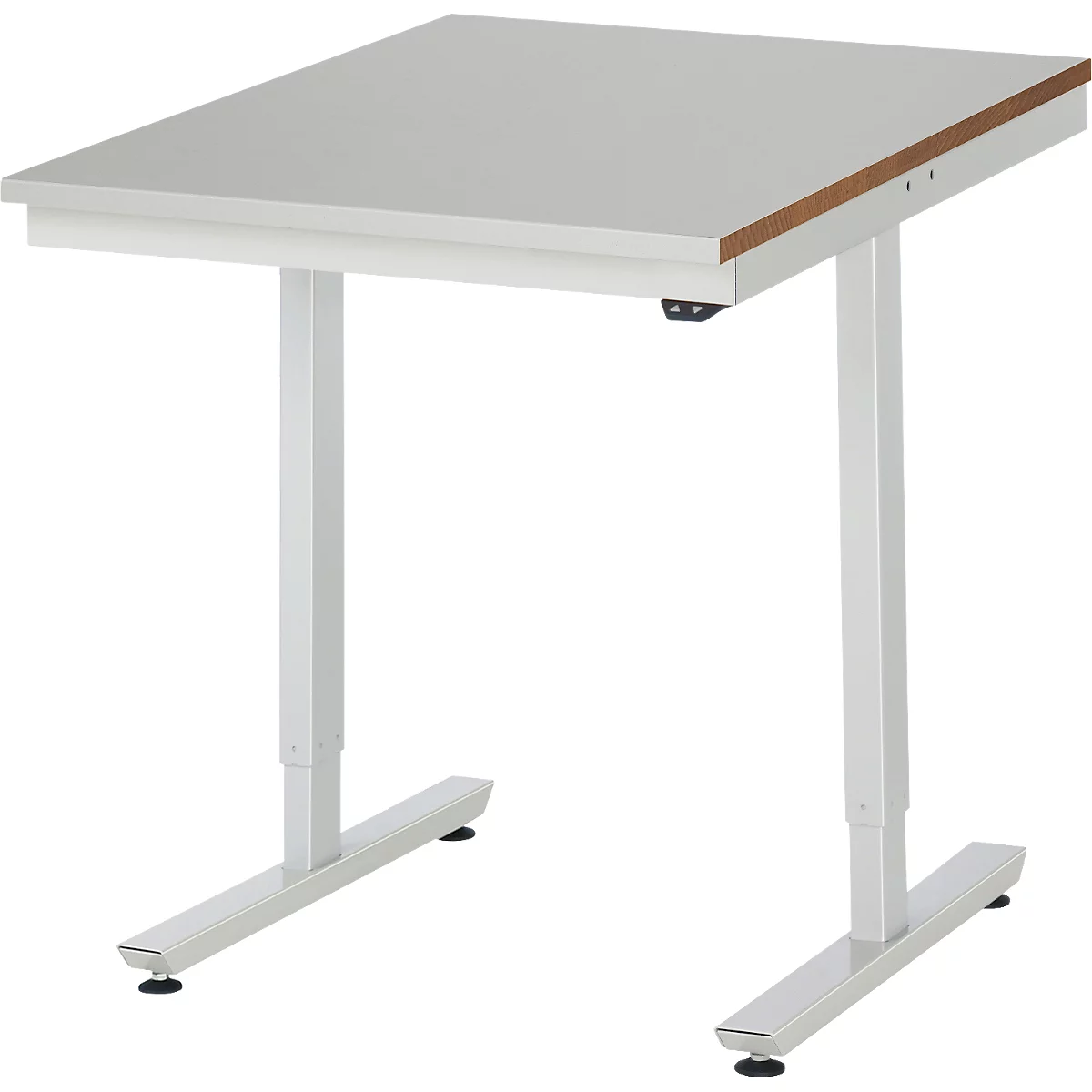 Rau werktafel Adlatus, elektrisch in hoogte verstelbaar, 25 mm MDF blad, roestvrij stalen bekleding, tot 150 kg, B 750 x D 800 x H 720-1120 mm, zilver/lichtgrijs