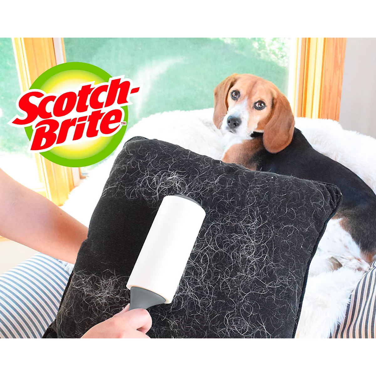 Un chien et un oreiller couverts de poils de chien. Une main utilise un rouleau anti-peluches Scotch-Brite pour enlever les poils. Le nom de la marque est dans l'image.