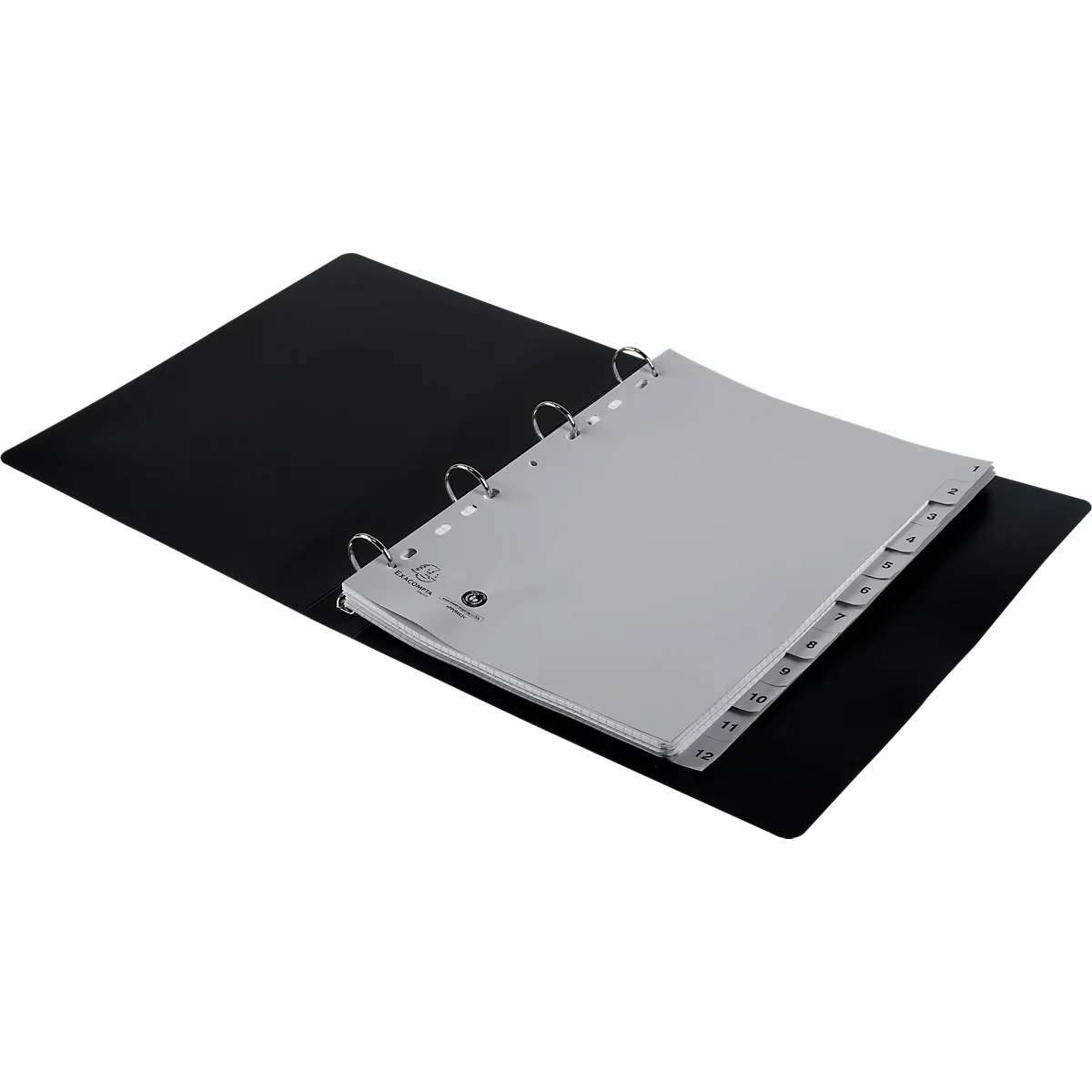 Register Exacompta 1912E, Format A4, Universallochung, Taben 1-12, B 225 x H 297 mm, Blauer Engel, Recycling-Kunststoff, grau