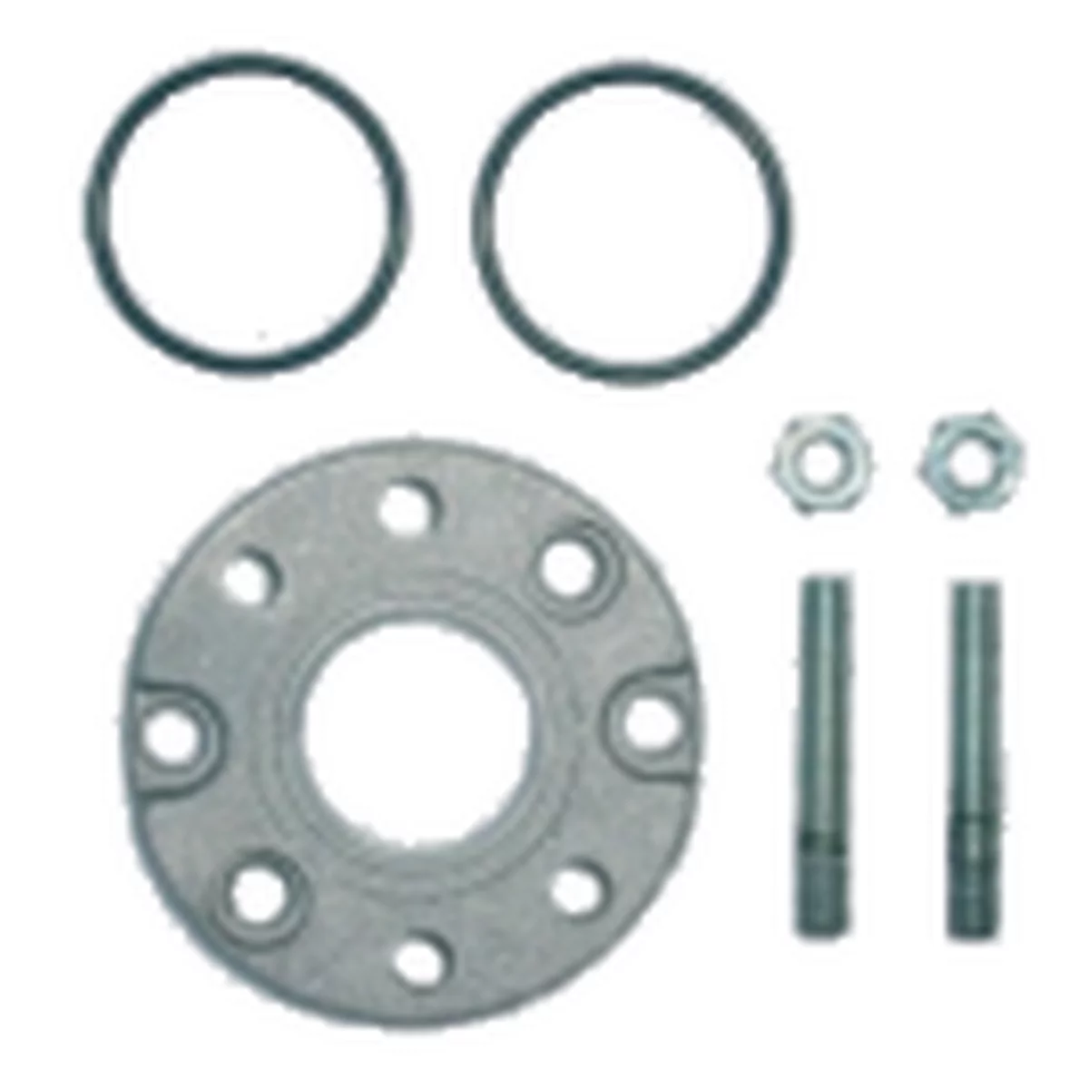 Gray flange assembly with seals, bolts and nuts. Components on a light background.