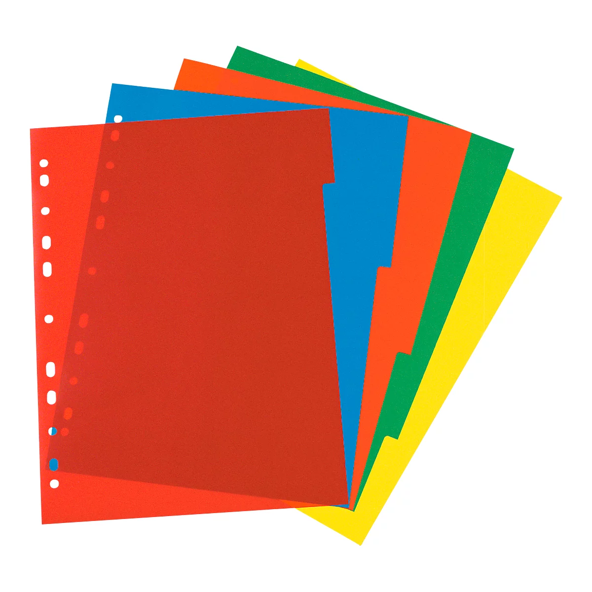 Ringmapindex PP A4 in kleur 5-delig