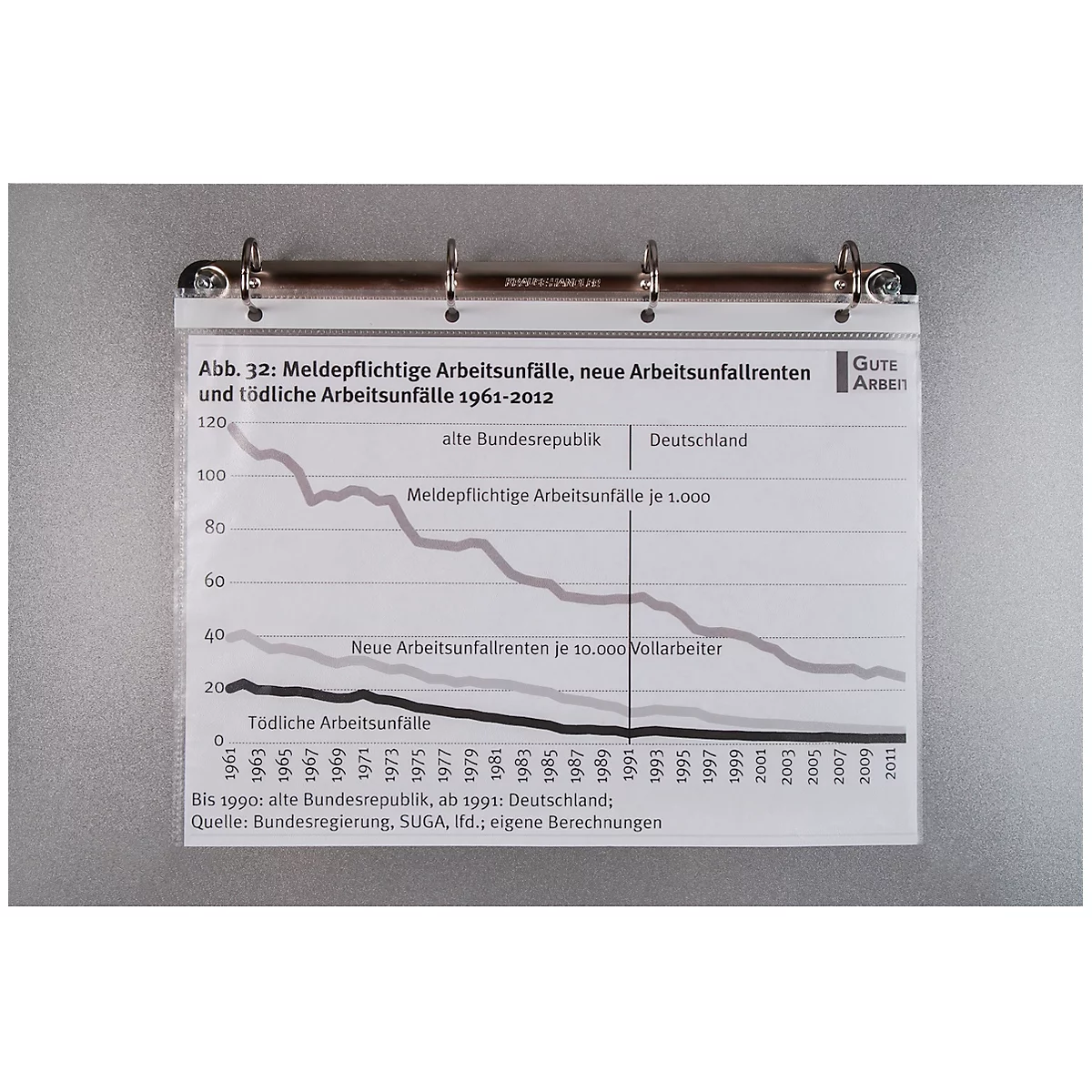 Ringschiene Eichner, für Sichthüllen, magnethaftend, bis 1kg, B 310 x T 30 x H 50 mm, silber