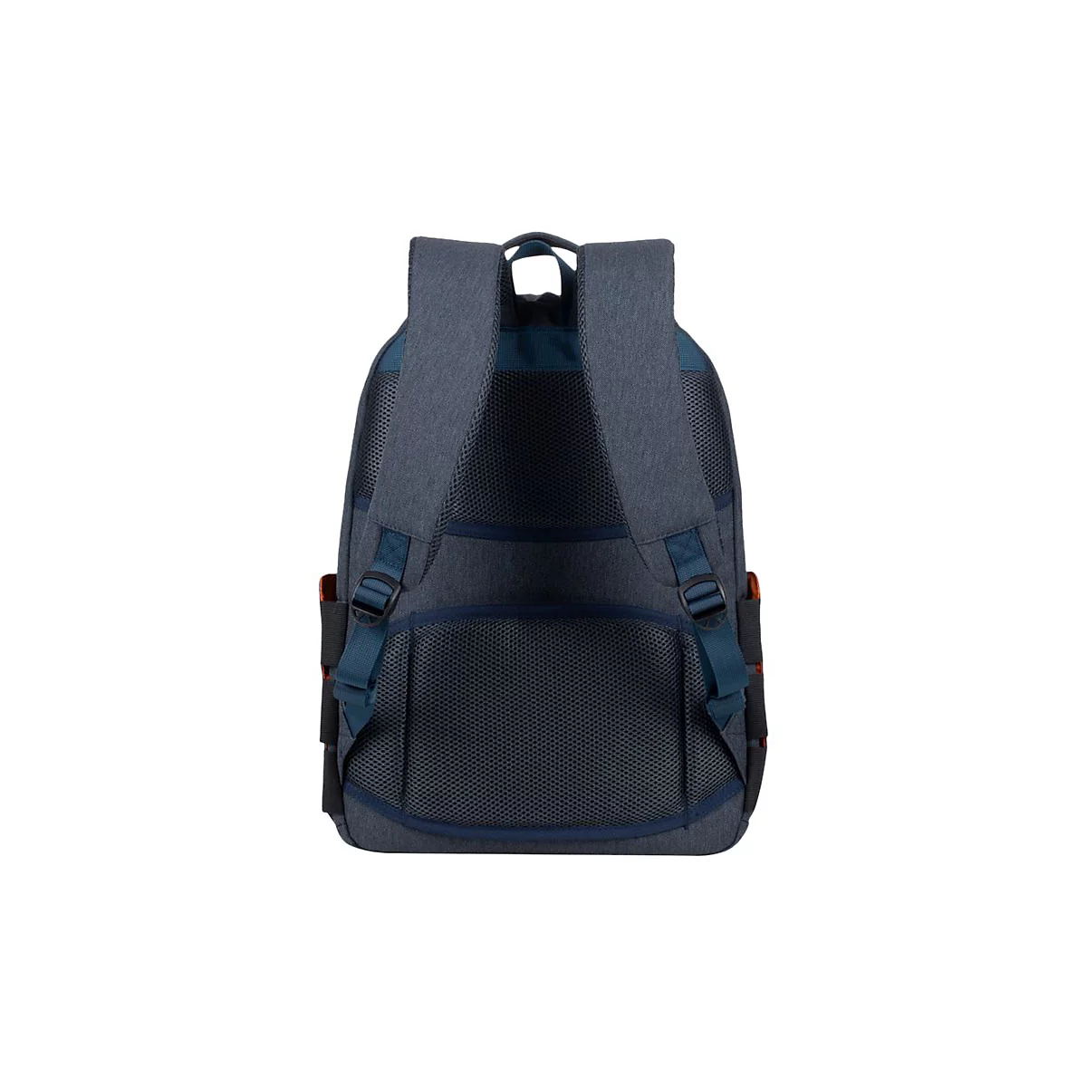 Blauer Rucksack von hinten, mit gepolsterten Schultergurten und NetzrÃ¼cken.