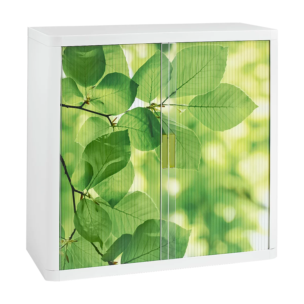 White cabinet with doors, printed with leaves, against a bright background.