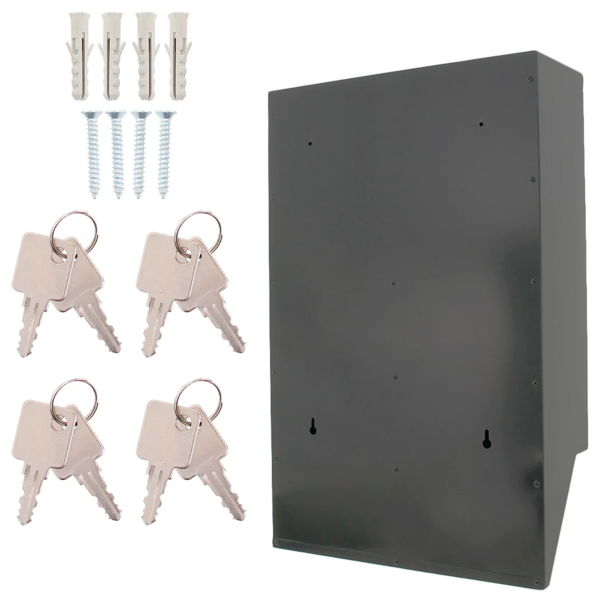 Coffret à clés gris avec quatre clés, chevilles et vis sur fond blanc.