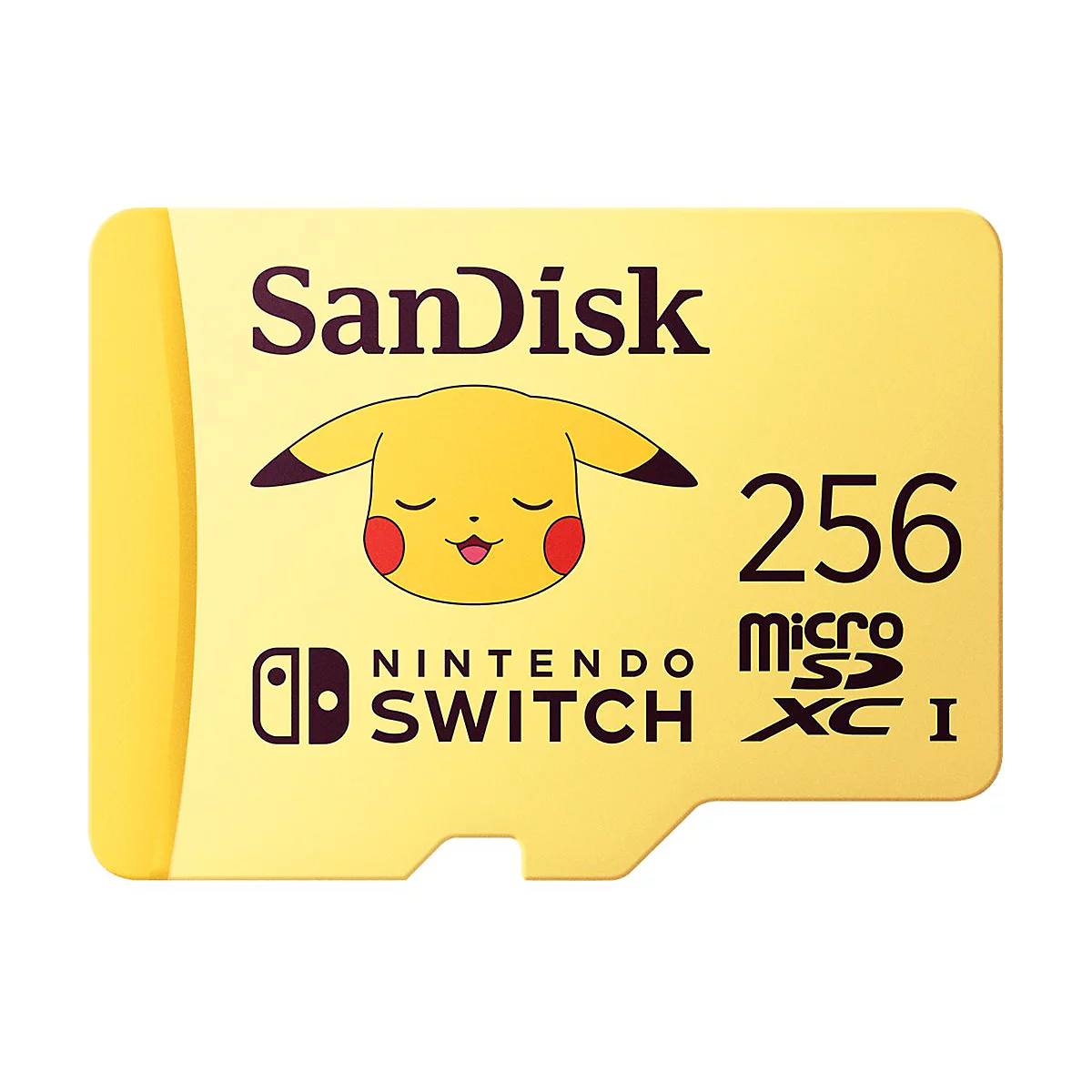 SanDisk - Flash-Speicherkarte - 256 GB - Video Class V30 / UHS-I U3 - microSDXC UHS-I