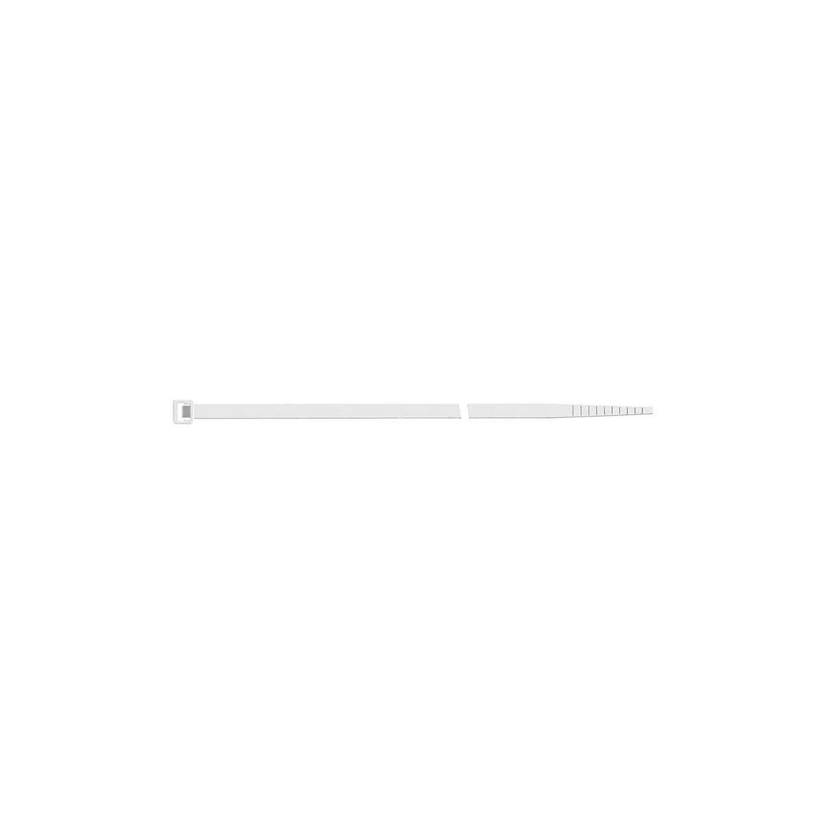 Un objet blanc, allongé, avec une pointe striée et une zone sombre et étroite à l'extrémité.