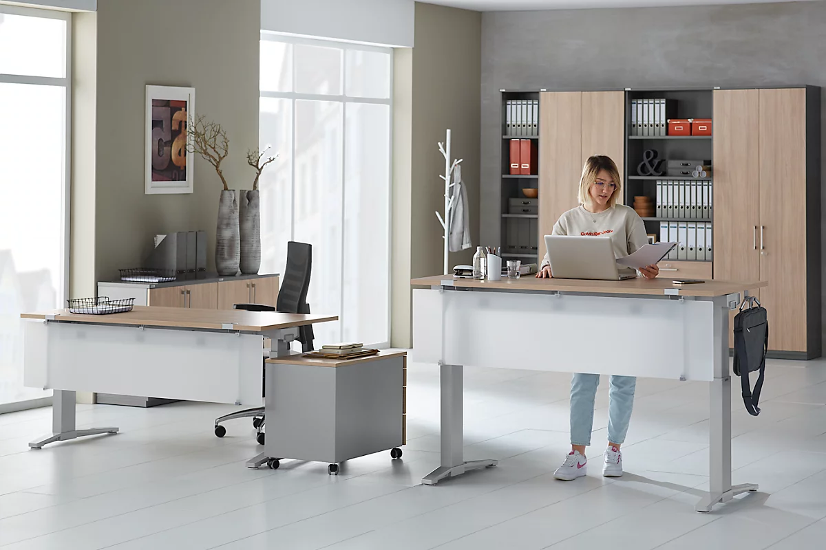 Schäfer Shop Genius Gancho para bolsas para escritorio PLANOVA ERGOSTYLE, aluminio blanco