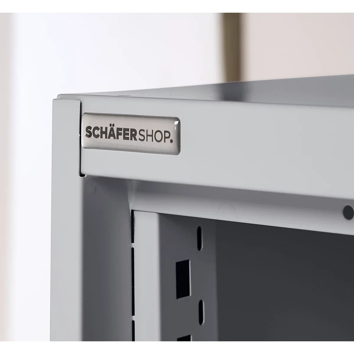 Schäfer Shop Genius metalen materiaalkast FS, met kijkvenster, ventilatiegaten, B 545 x D 520 x H 1950 mm, 5 OH, tot 250 kg, blank.alu kleurig/blank.alu kleurig