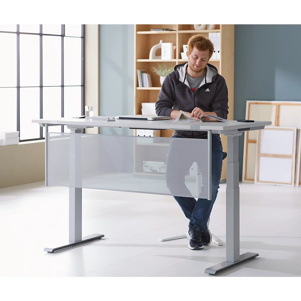 Schäfer Shop Genius Rückseitenblende, für Schreibtisch B 1600 mm, H 466 mm, weißaluminium