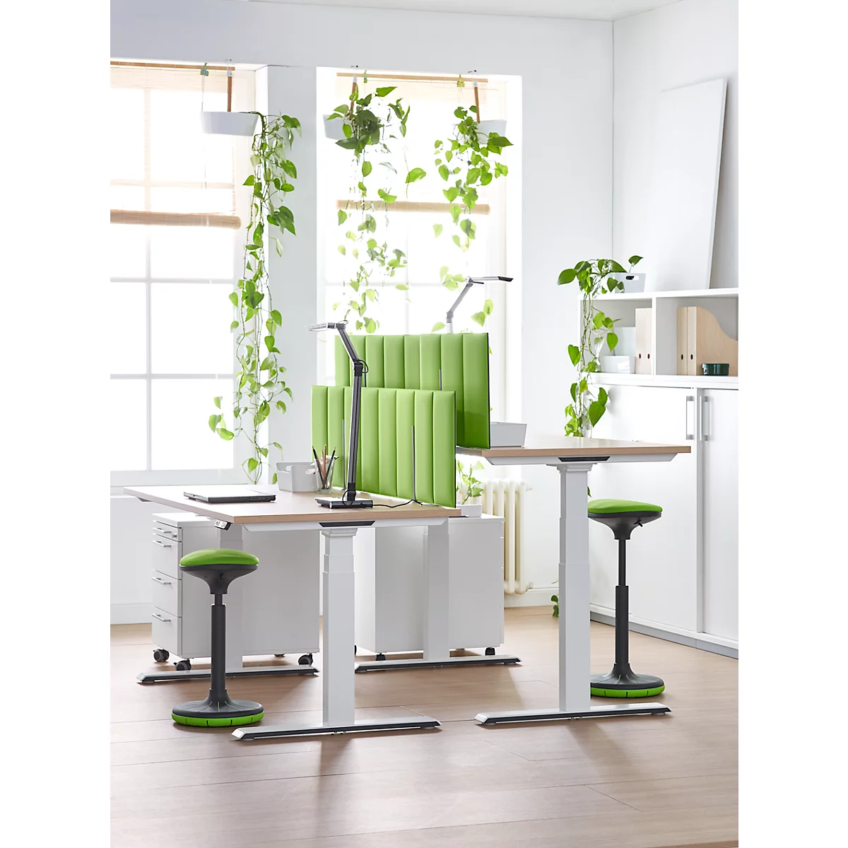 Schäfer Shop Genius Schreibtisch MODENA FLEX, elektrisch höhenverstellbar, Rechteck, T-Fuß, B 1600 x T 800 mm, Eiche/weiß