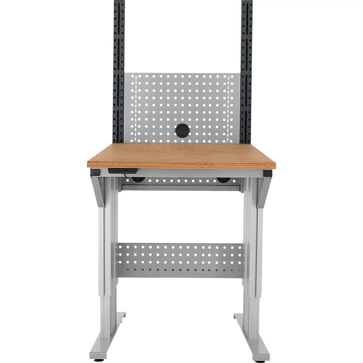 Een metalen en houten werkbank, met gaatjeswanden en opzetstuk.