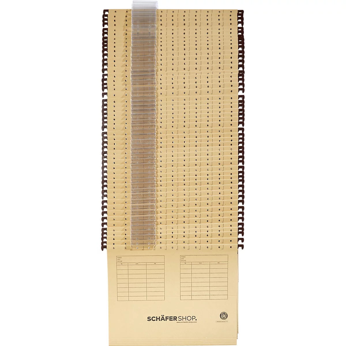 Schäfer Shop Select Armoire à dossiers suspendus, 2 rangées, cadre fermé, L 780 x P 580 x H 1365 mm + 50 dossiers suspendus, gratuits