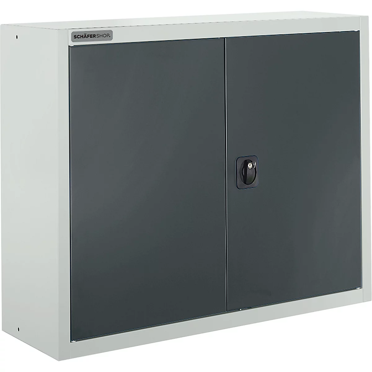 Schäfer Shop Select Armoire à poser MS 8408i, L 800 x P 400 x H 800 mm, 1 fond, acier, gris clair RAL 7035/gris anthracite RAL 7016