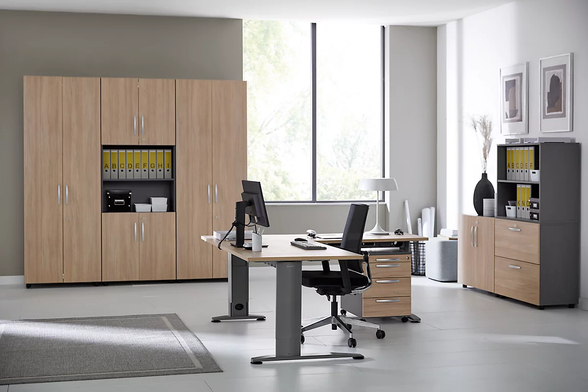 Schäfer Shop Select desk LOGIN, regulable en altura manualmente, pie en C, rectángulo, varios anchos y colores