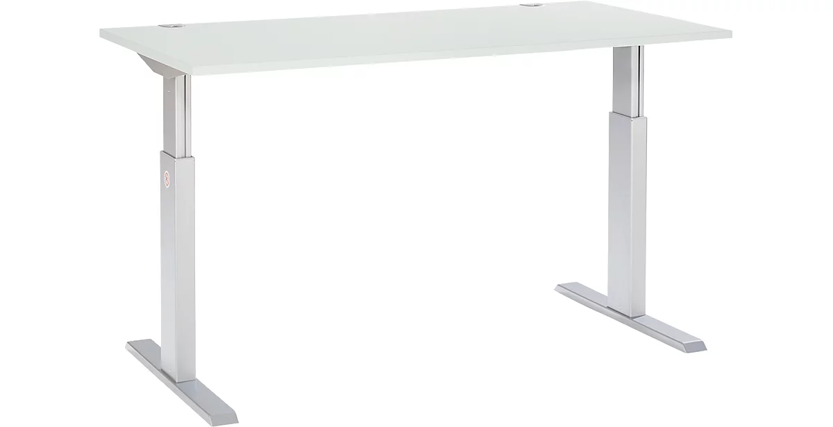 Schäfer Shop Select ERGO-T escritorio, regulable eléctricamente en altura, rectangular, pie en T, ancho 1600 x fondo 800 x alto 725-1185 mm, gris claro/aluminio plateado