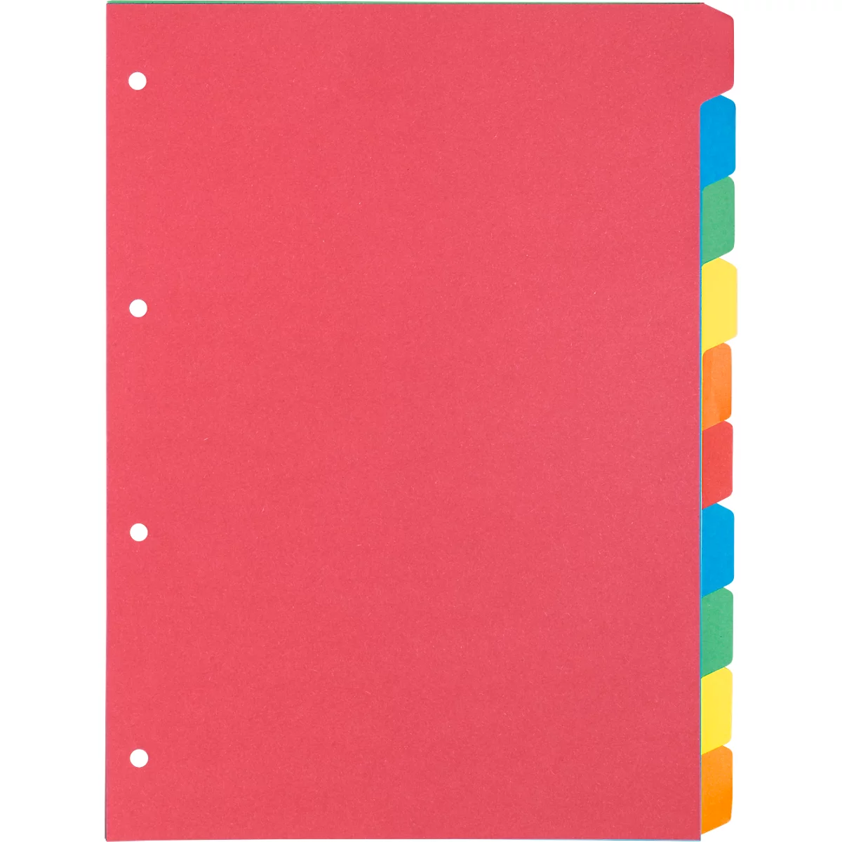 Schäfer Shop Select kartonnen index, pak van 5, 4-gaats gestanst, gerecycled karton 160 g/m², 10 st.