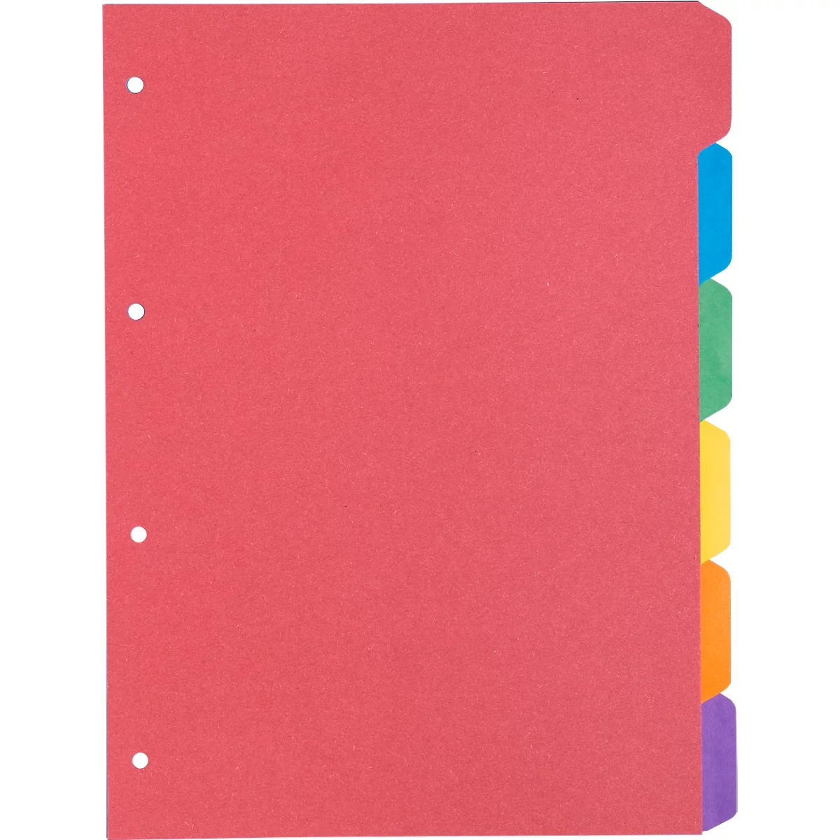 Schäfer Shop Select kartonnen index, set van 5, 4-gaats gestanst, 160 g/m² gerecycled karton, 6 stuks