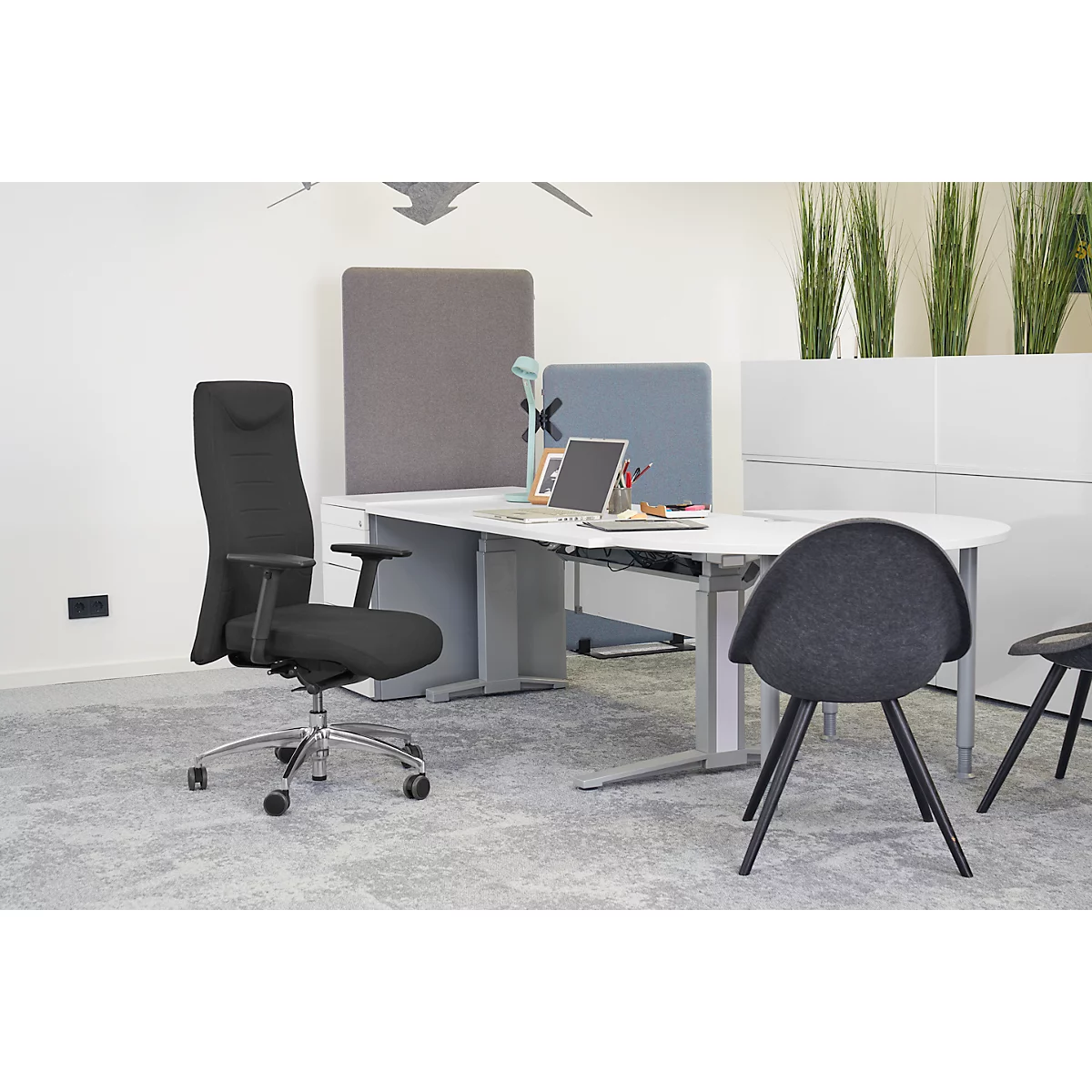 Office with black office chair, desk, laptop, and grey chairs. Office with green plants and fabric partition walls.