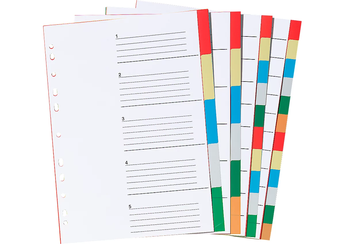 Schäfer Shop Select PP indexbladen in kleur A4, gebruik naar eigen inzicht, 12 bladen, 6-kleurig, 10 stuks