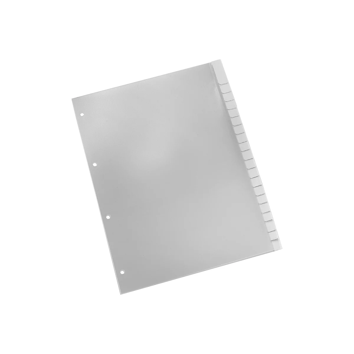 Schäfer Shop Select PP-indexbladen met verwisselbare tabs, gebruik naar eigen inzicht, cijfers 1-20, losbladig