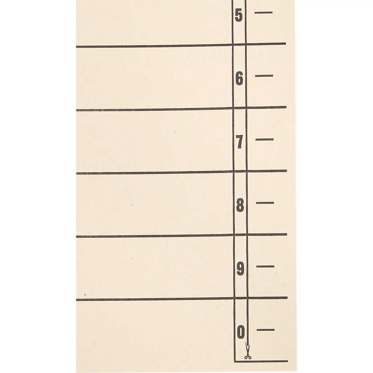 Schäfer Shop Select scheidingsbladen, A4-formaat, gelinieerd, 100 stuks, met perforatierand-versteviging