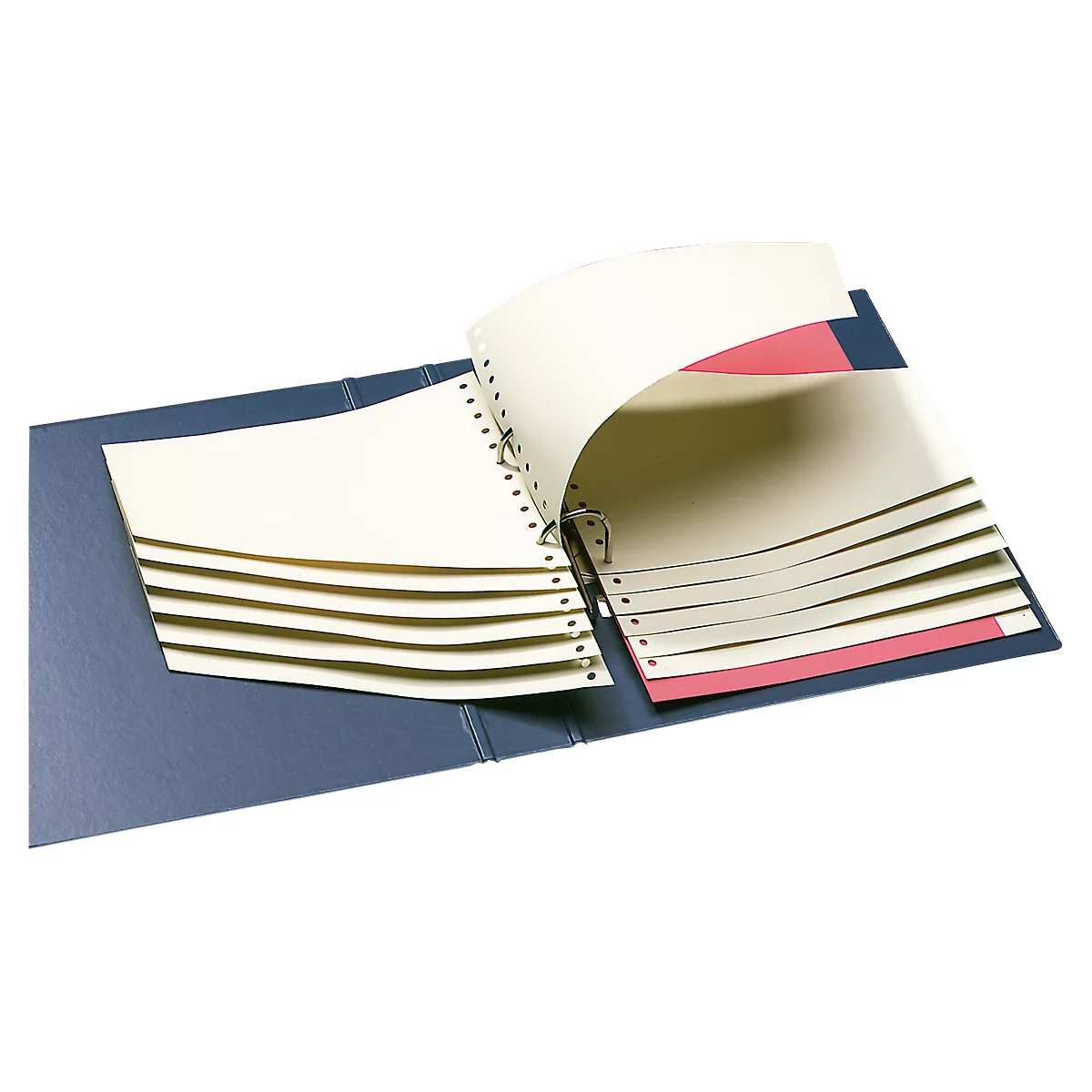 Blue open binder filled with loose-leaf paper. Some pages marked in red.