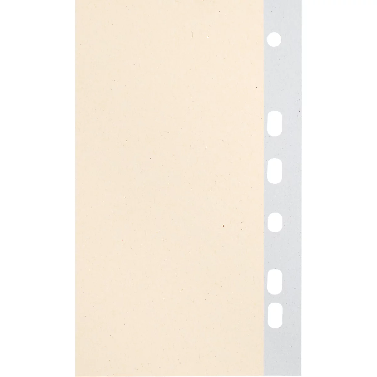 Schäfer Shop Select Trennblätter, DIN A4-Format, Linienaufdruck, 100 Stück, ohne Lochrand-Verstärkung