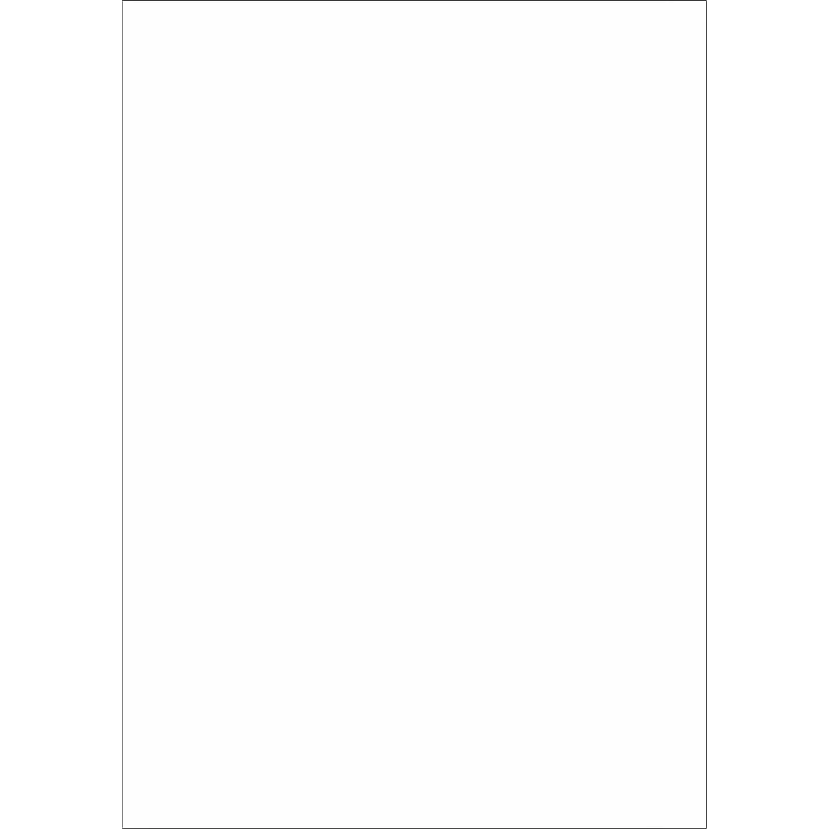Schäfer Shop Select Universele etiketten, 210,0 x 297,0 mm = A4, permanentklever, 100 stuks