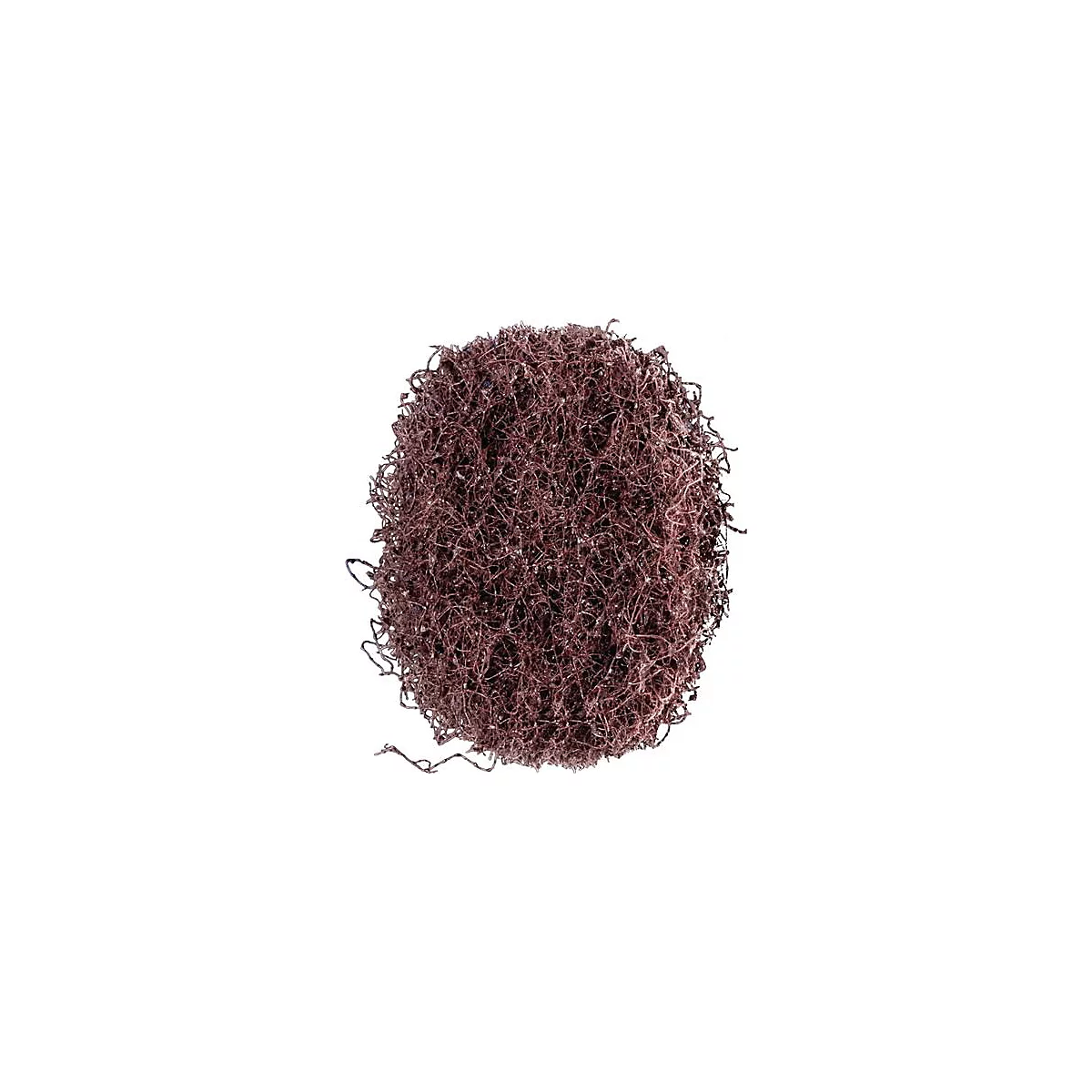 Schleifvliesscheibe POLINOX D.40mm medium 100 braun PFERD