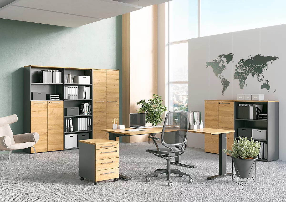 Schreibtisch Agenda Home, C-Fuß, höhenverstellbar, B 1600 x T 800 x H 680-880 mm, Eiche/schwarz