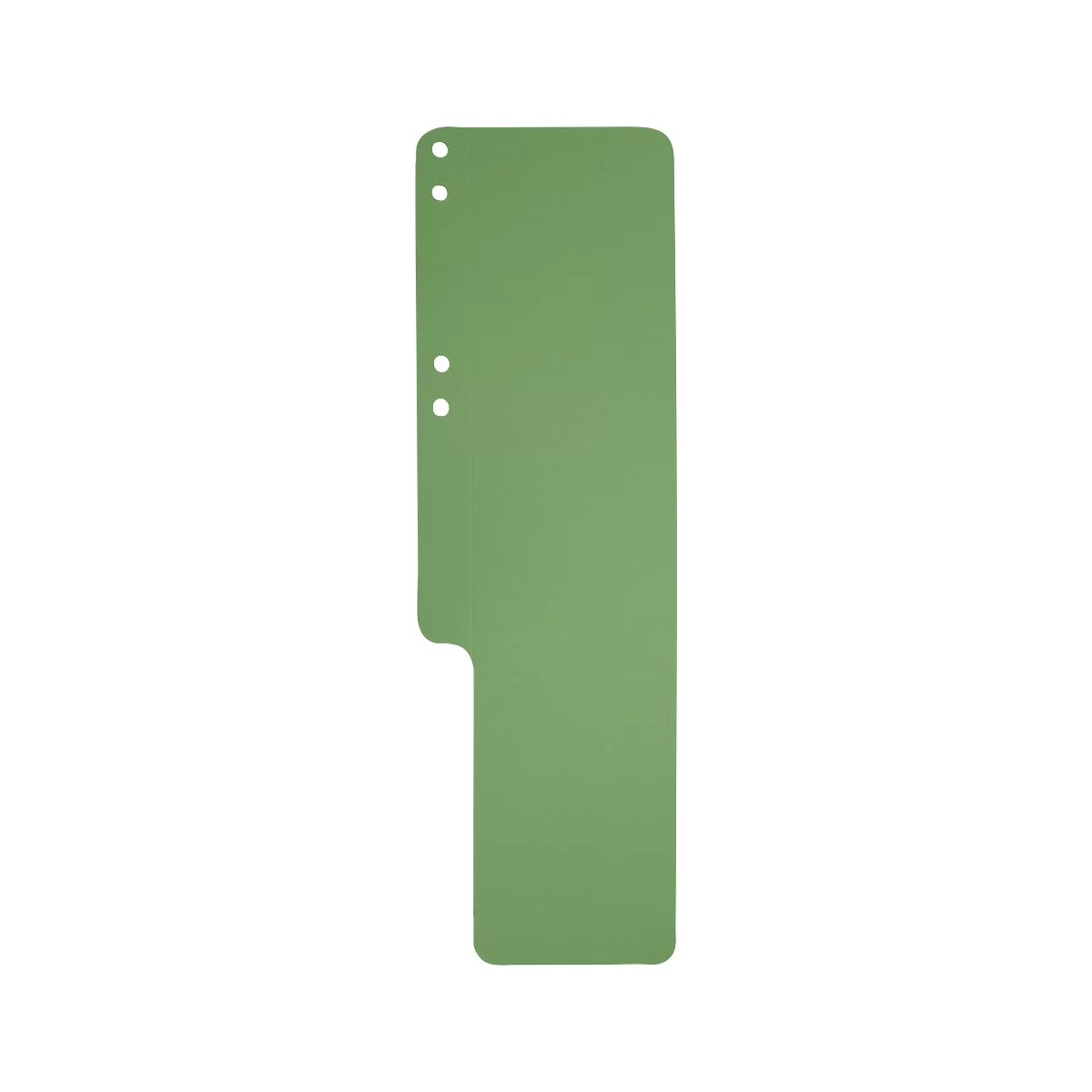 Serviette de classement Exacompta, vierge, L 100 x H 320 mm, avec pli latéral, rainurée &amp; perforée, Ange Bleu, carton recyclé, vert, 100 pièces
