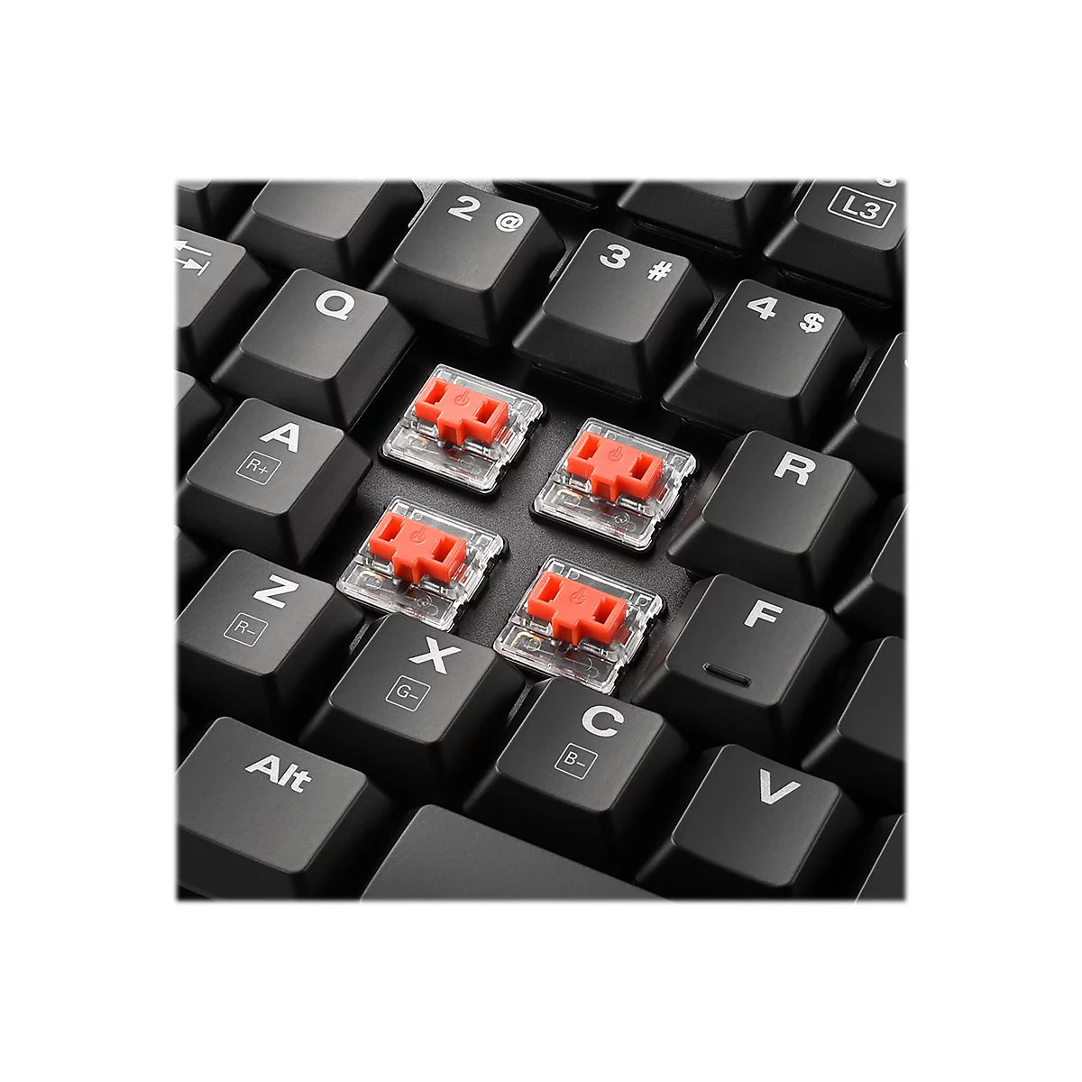 Sharkoon PureWriter RGB - Tastatur - Hintergrundbeleuchtung - USB - Französisch - Tastenschalter: Kailh Red