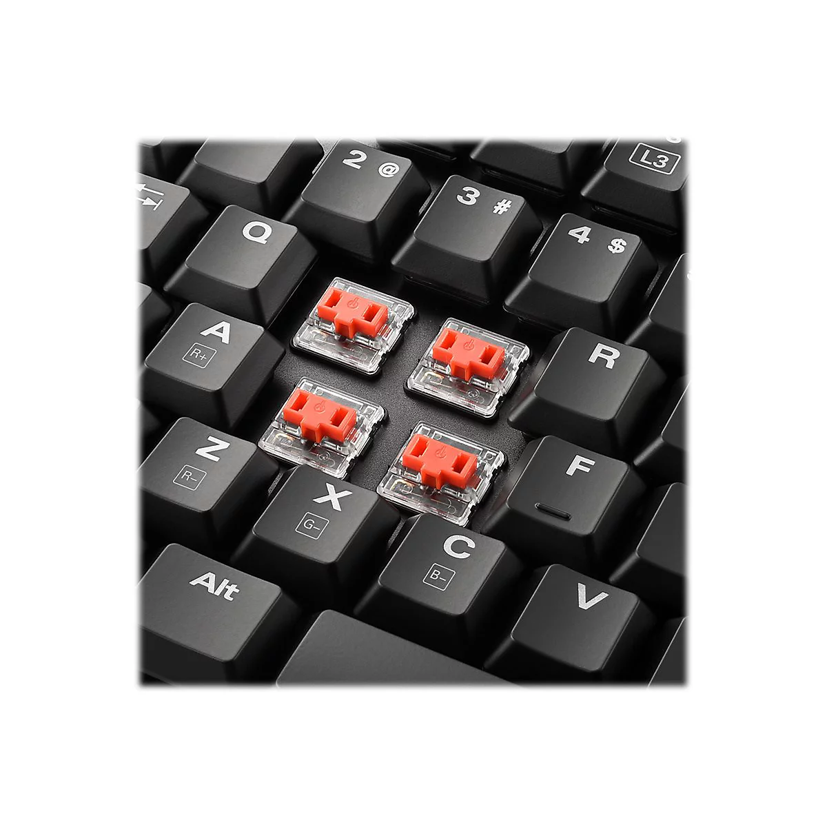Sharkoon PureWriter TKL RGB - Tastatur - Hintergrundbeleuchtung - USB - Deutsch - Tastenschalter: Kailh Blue