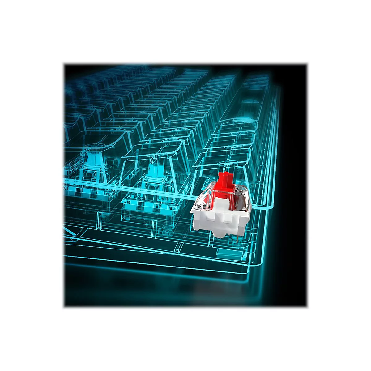 Ein rot-weißer mechanischer Tastatur-Switch vor einem blauen, transparenten Drahtgitter-Modell einer Tastatur.