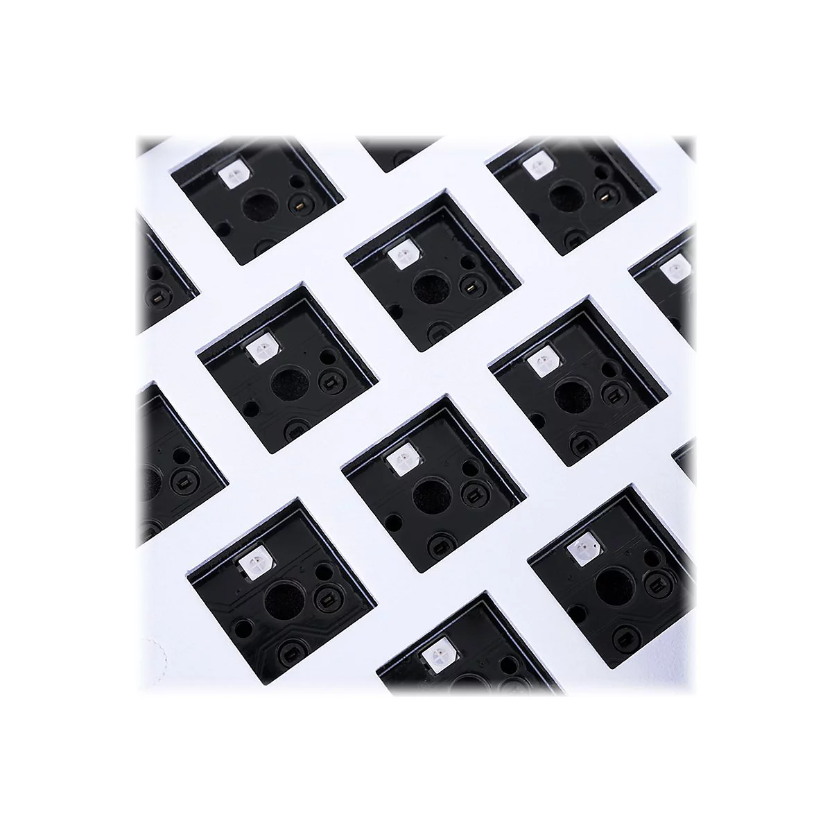 Nahaufnahme einer weißen Tastaturplatte mit quadratischen Aussparungen und schwarzen Sockeln mit integrierten LEDs.