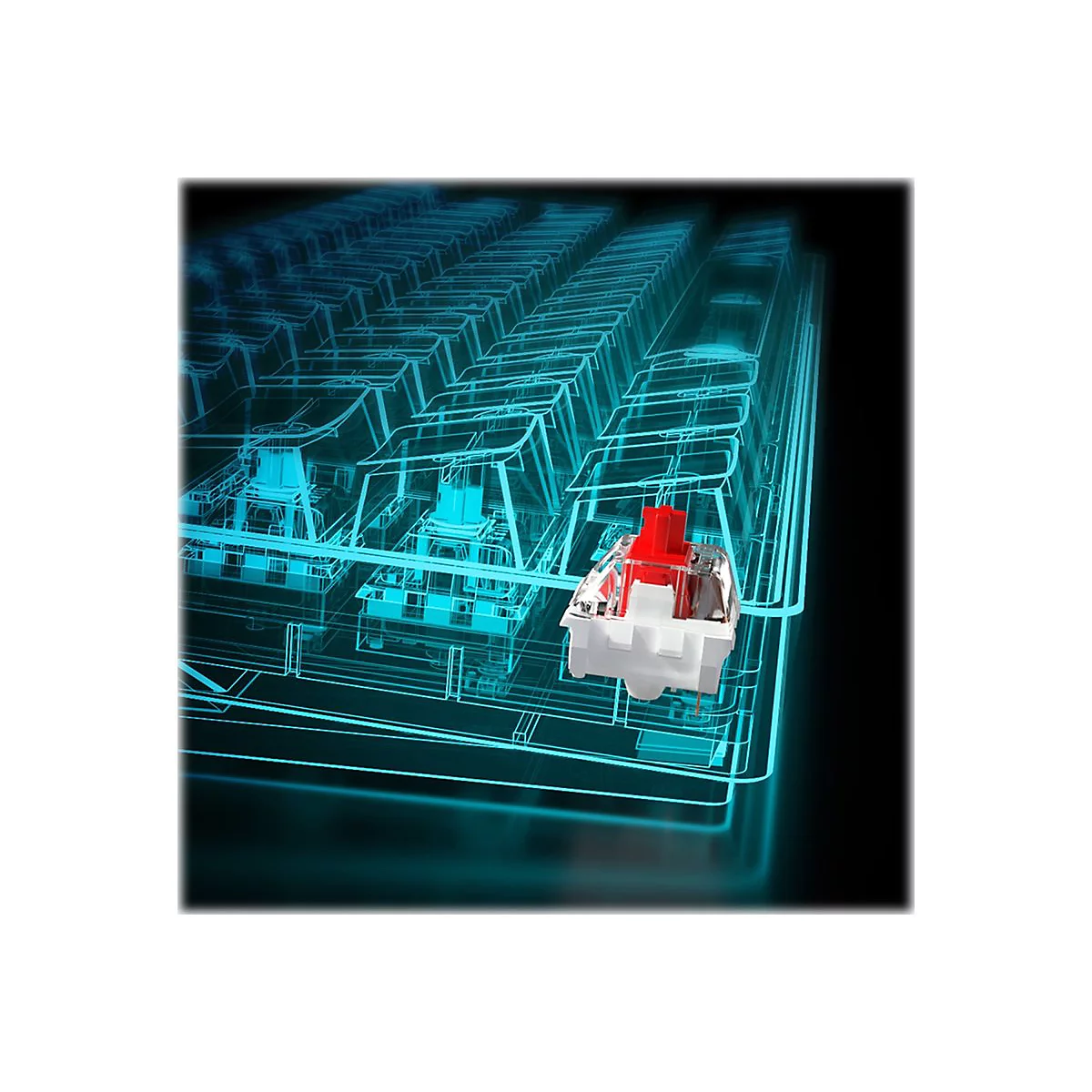 Ein rot-weißer mechanischer Tastatur-Switch vor einem blauen, schematischen Gitter einer Tastatur.