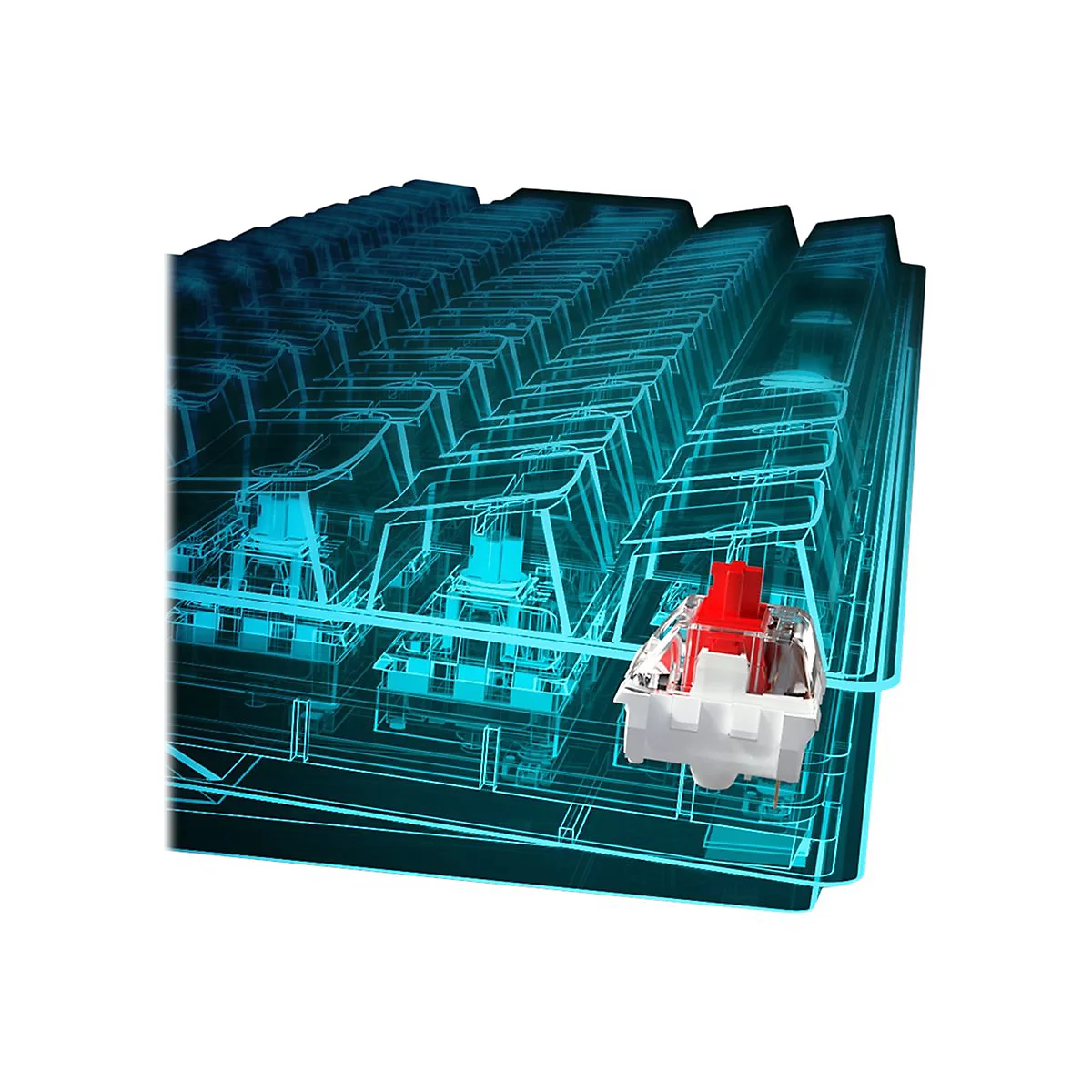 Blaues Drahtgittermodell einer Tastatur, bei der ein einzelner Tastenschalter detailliert in Rot hervorgehoben ist.