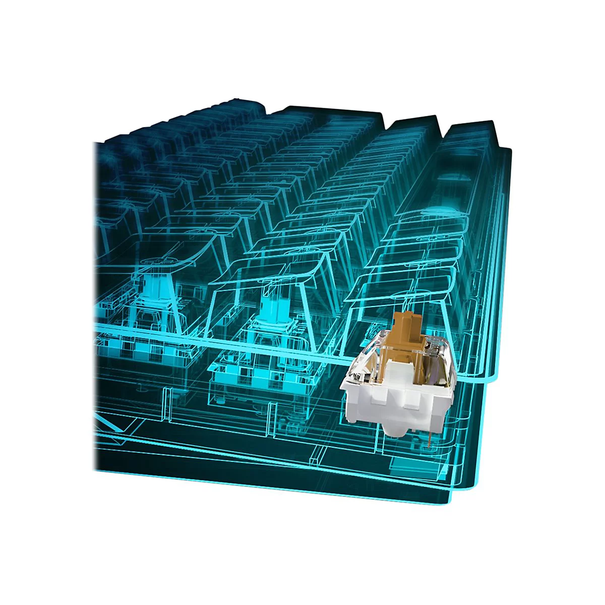 Ein detaillierter, brauner Tastaturschalter vor einer blau leuchtenden, schematischen Darstellung einer Tastatur.