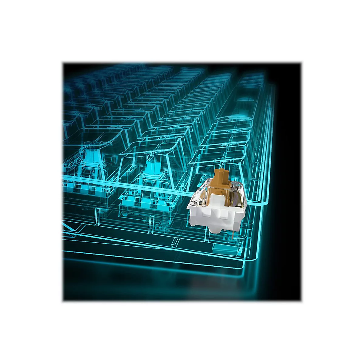 Sharkoon SKILLER SGK50 S4 - Tastatur - Hintergrundbeleuchtung - USB-C - Portugiesisch - Tastenschalter: Kailh Red