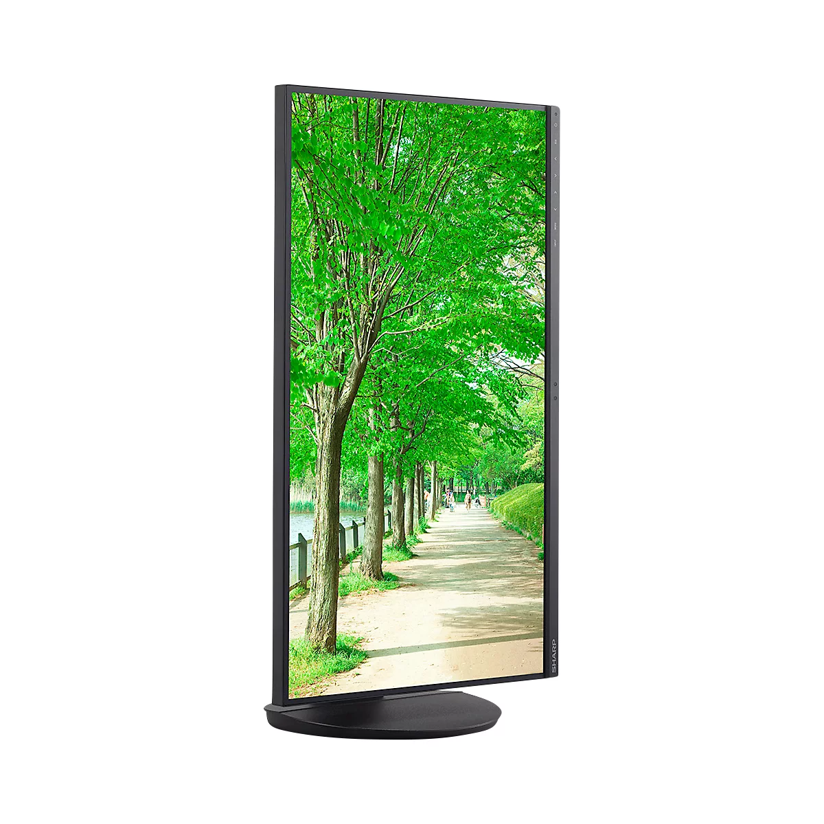 Sharp Desktop-Display MultiSync EA272Q, LCD-Monitor, 27'(69 cm), 2560 x 1440 QHD, HDMI/USB/Display Port, höhenverstell-, neig und drehbar, schwarz