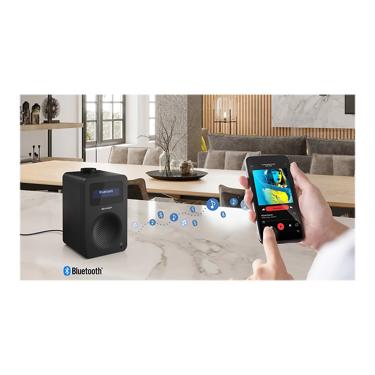 Sharp DR-430 - DAB+-Radio - 5 Watt (Gesamt) - schwarz
