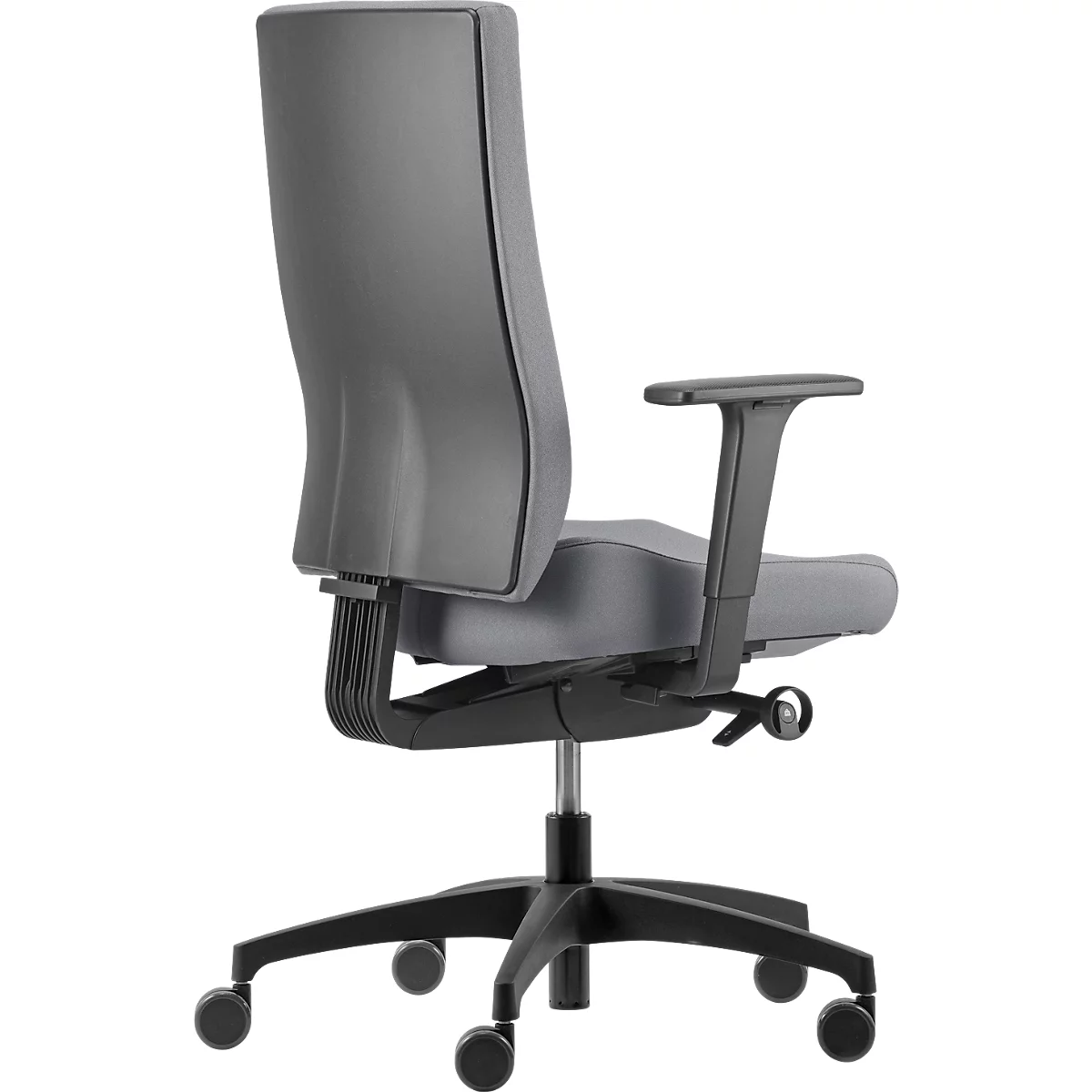 Siège pour disques intervertébraux Dauphin @Just evo operator AJ 4872, avec accoudoirs, mécanisme synchrone, dossier rembourré, assise pour disques intervertébraux, gris platine