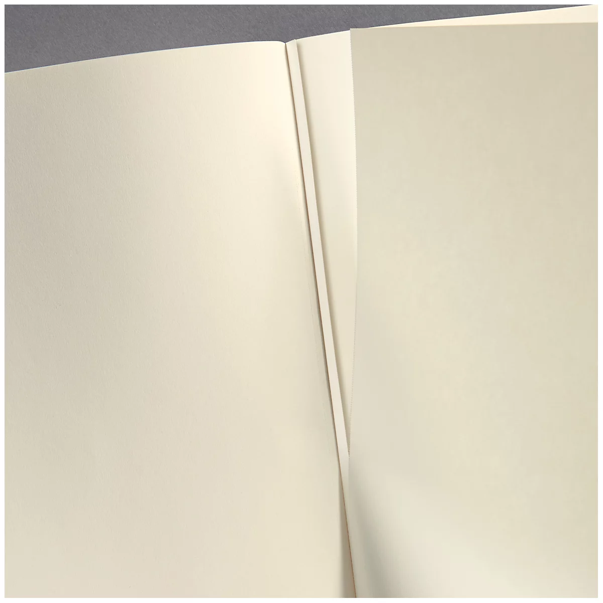 Close-up of an open book, cream-colored pages, a subtle shadow.