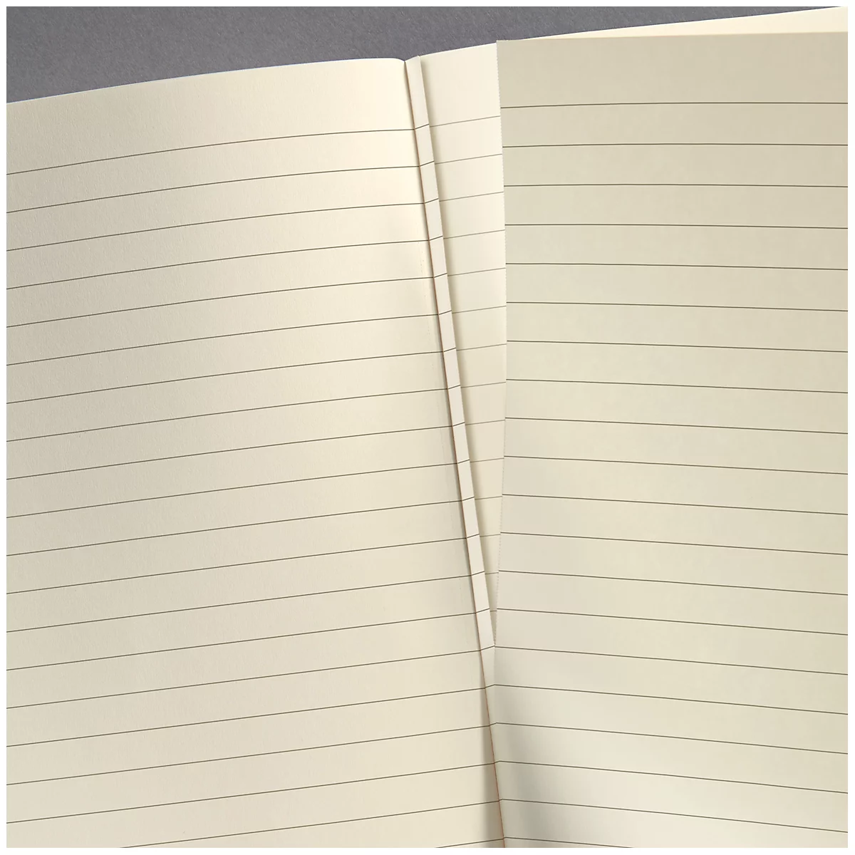 Close-up of an open notebook with lined pages. The paper is cream-colored, the lines gray.