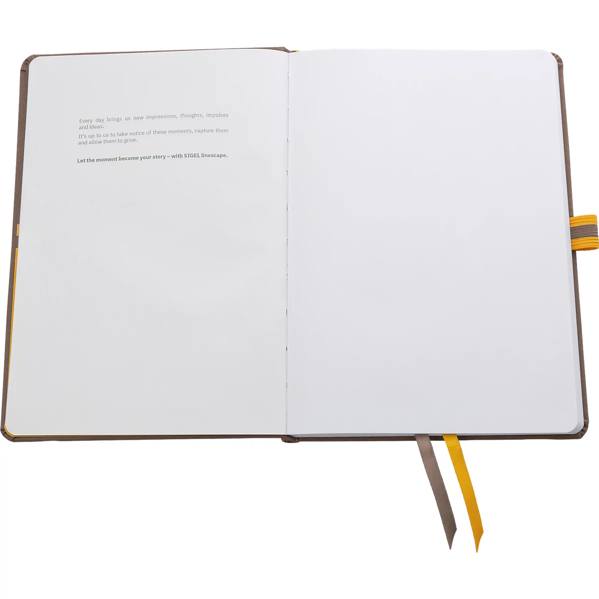 Open notebook with blank pages, text on one page. Two colored bookmarks.