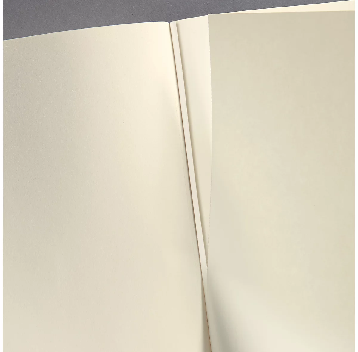 sigel® notitieboekje CONCEPTUM, A5, blanco