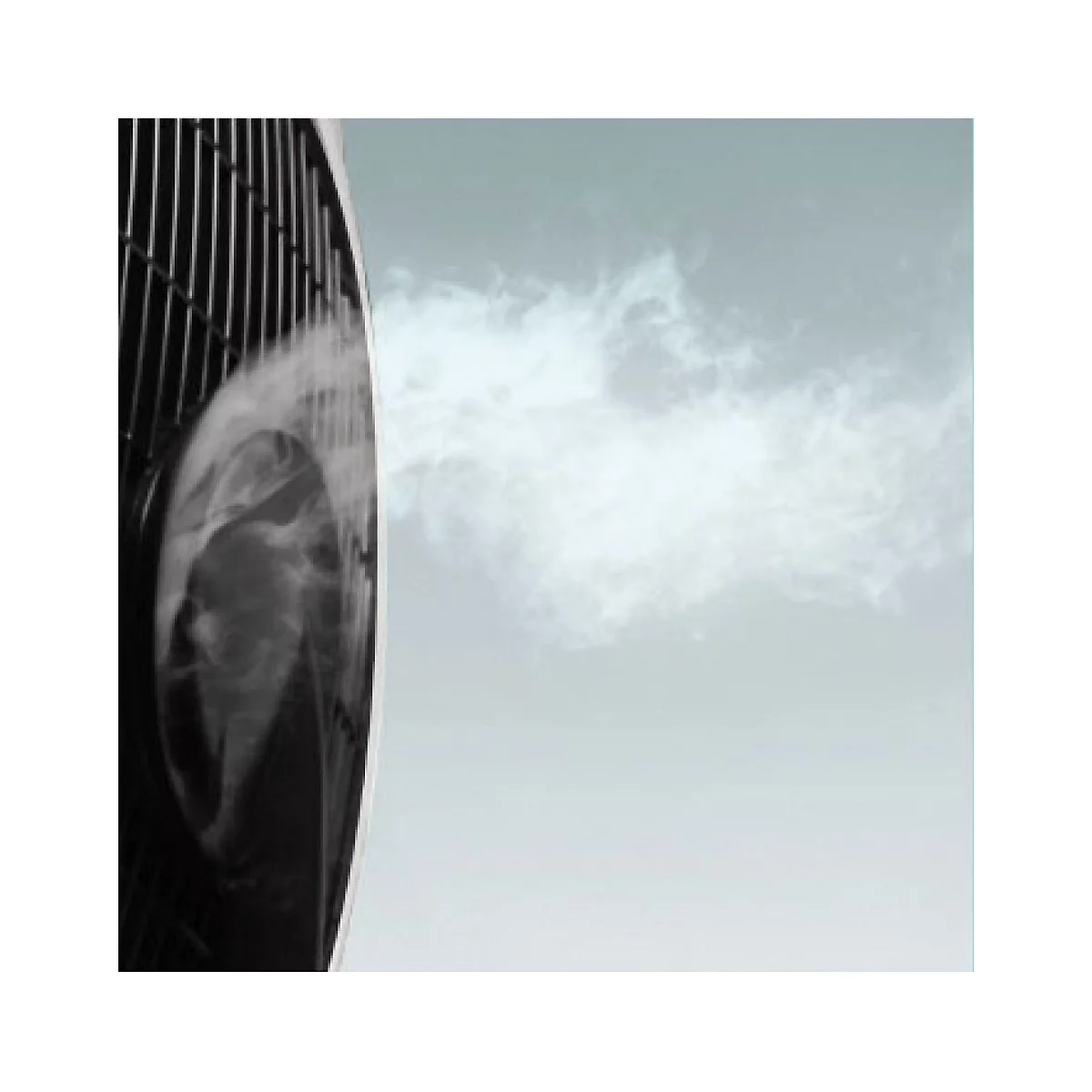 Sonnenkönig Lufterfrischer Air Fresh 5, 3 Ventilationsstufen, 0,2 l/h Befeuchtungsleistung, bis 60 m³ Raumgrösse, LED-Kontrolldisplay, Fernbedienung, schwarz/weiss