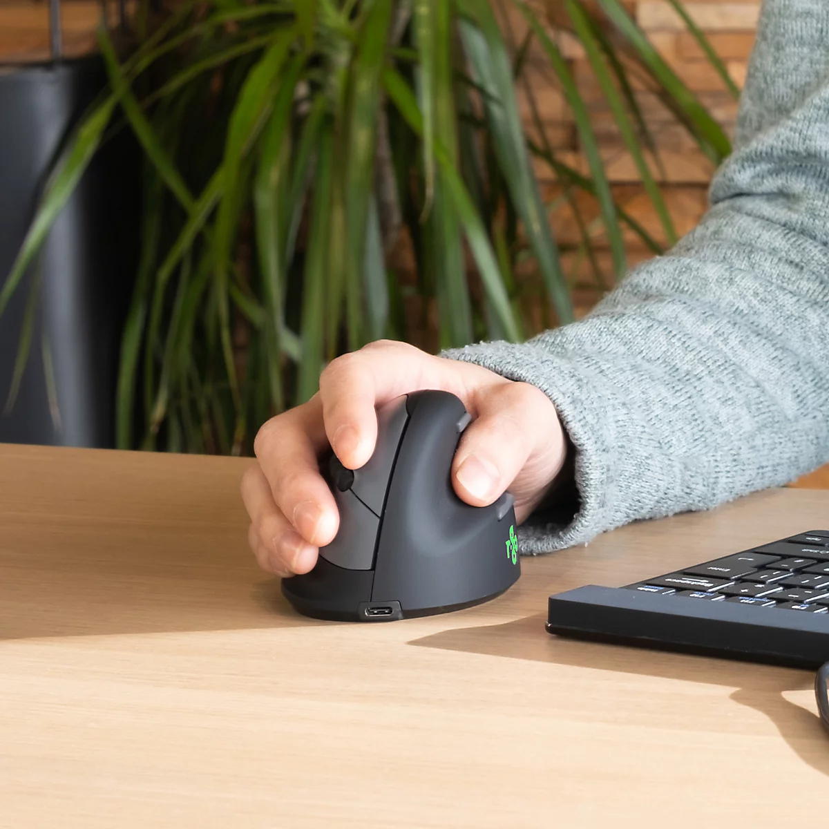 Gros plan sur une main utilisant une souris ergonomique. Le bras de l'utilisateur repose sur la table. Une plante est visible en arrière-plan.