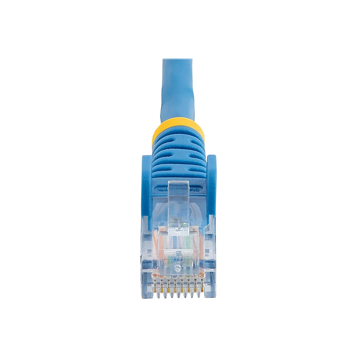Nahaufnahme eines blauen Ethernet-Kabels mit gelben Akzenten und transparentem Stecker. Die Stifte sind sichtbar.